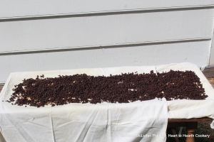 After the currants were washed and plumped for the receipt (recipe) A Good Cake: my first Cousen Clerkes Receipt they were placed on a bake oven drying rack covered with cloths to remove any remaining moisture.